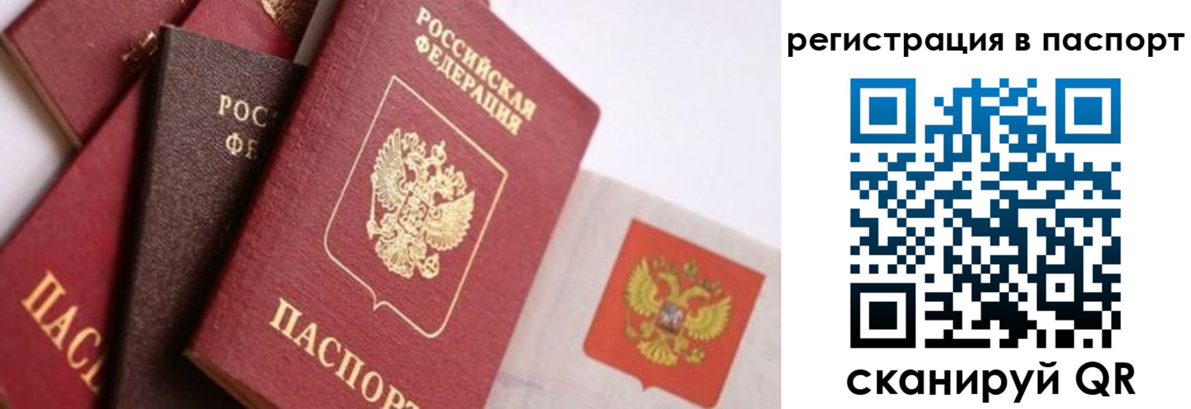 прописка в квартире в Тимашёвске